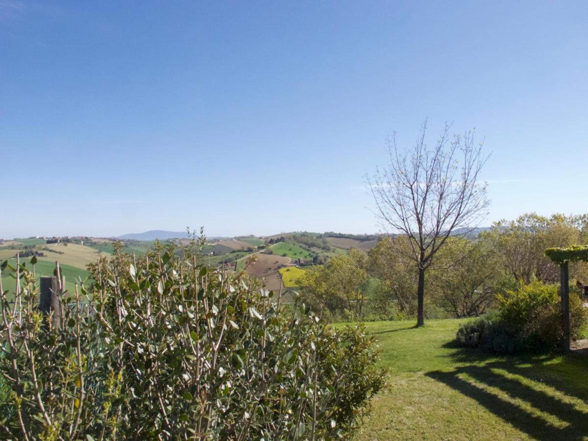Montecassiano Il Gallo Silvestre - Bed&Books מראה חיצוני תמונה