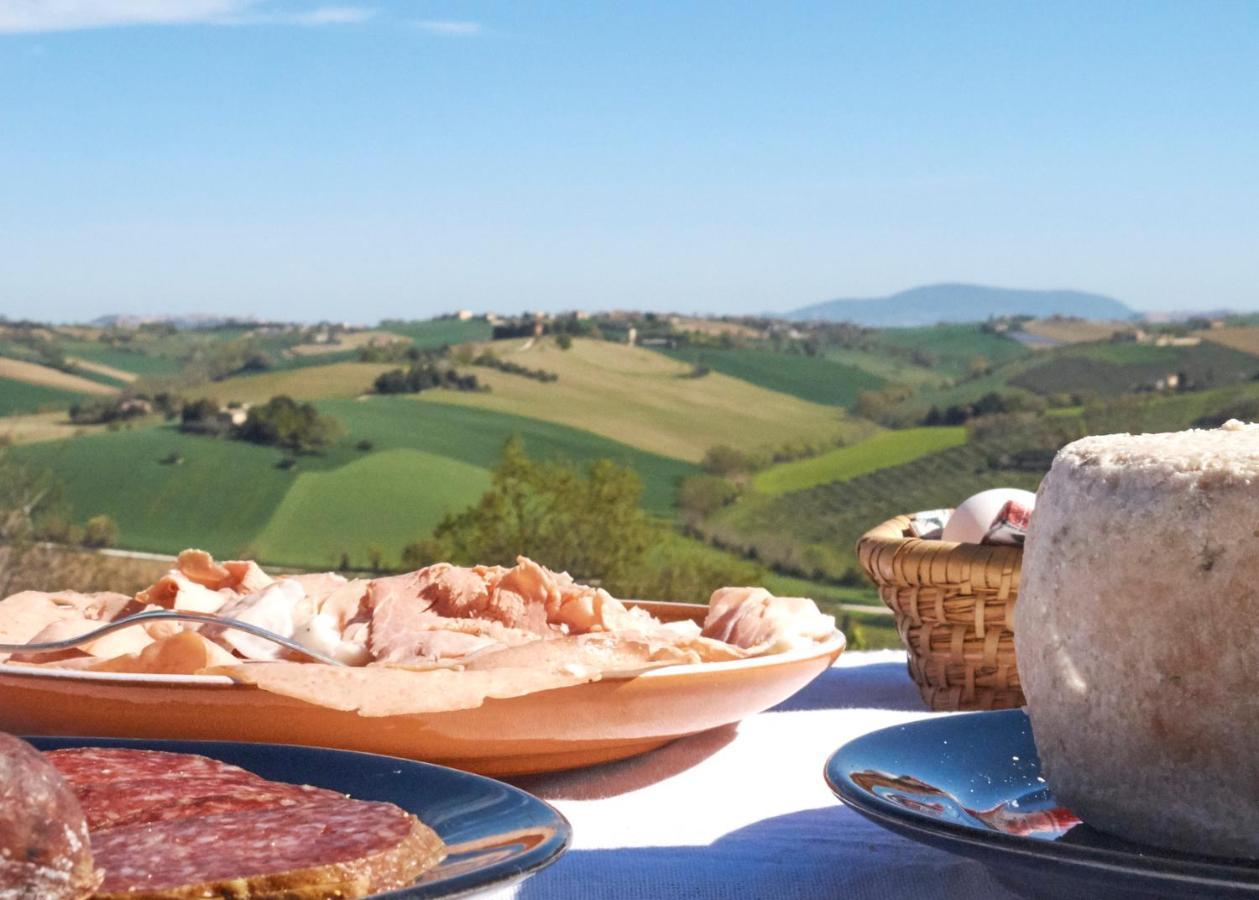Montecassiano Il Gallo Silvestre - Bed&Books מראה חיצוני תמונה