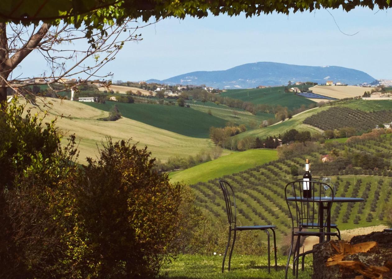 Montecassiano Il Gallo Silvestre - Bed&Books מראה חיצוני תמונה