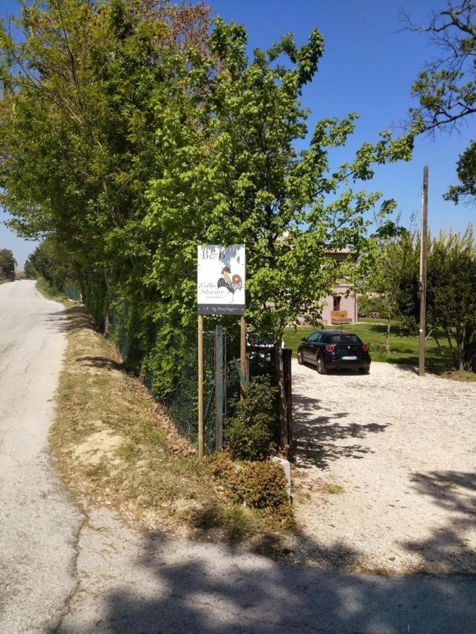 Montecassiano Il Gallo Silvestre - Bed&Books מראה חיצוני תמונה