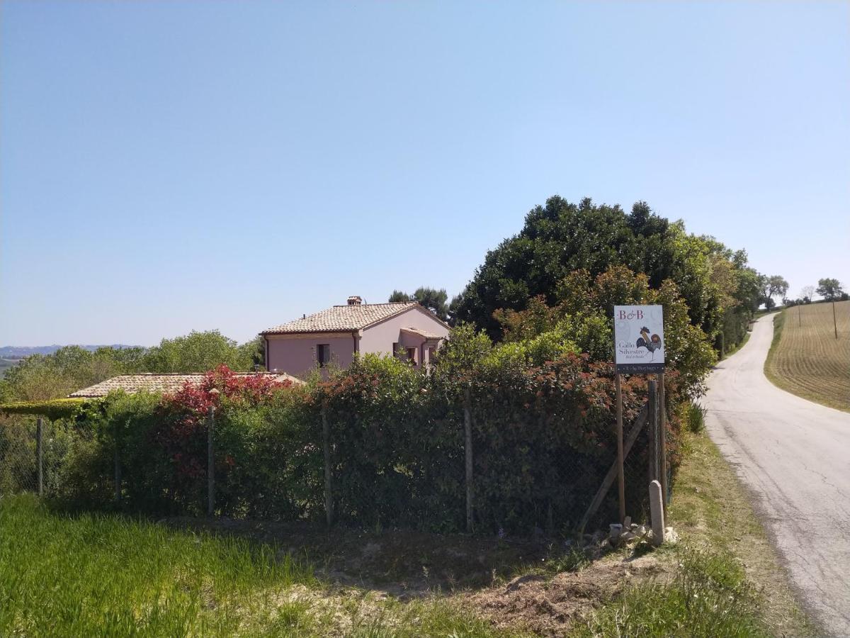 Montecassiano Il Gallo Silvestre - Bed&Books מראה חיצוני תמונה