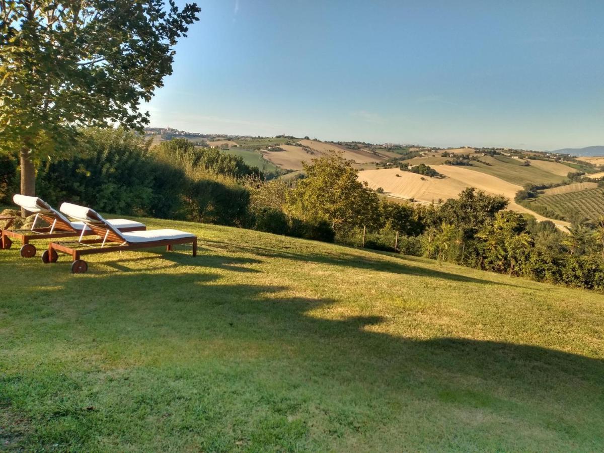 Montecassiano Il Gallo Silvestre - Bed&Books מראה חיצוני תמונה