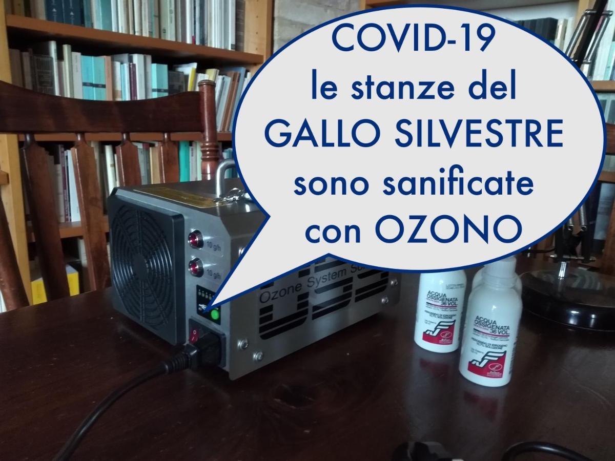 Montecassiano Il Gallo Silvestre - Bed&Books מראה חיצוני תמונה