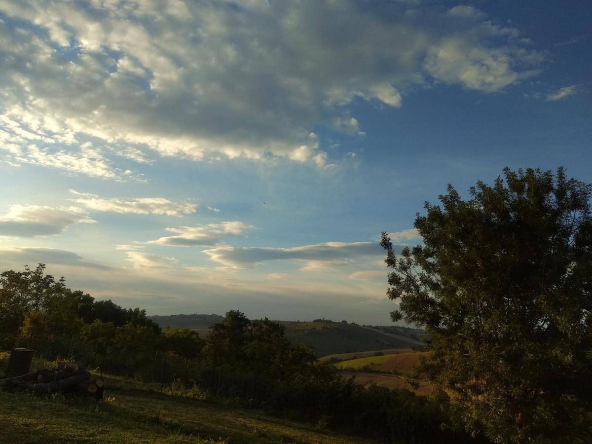 Montecassiano Il Gallo Silvestre - Bed&Books מראה חיצוני תמונה