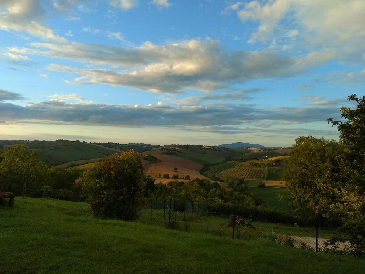 Montecassiano Il Gallo Silvestre - Bed&Books מראה חיצוני תמונה