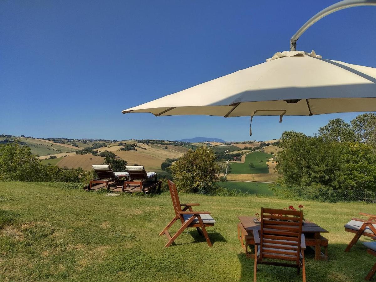 Montecassiano Il Gallo Silvestre - Bed&Books מראה חיצוני תמונה
