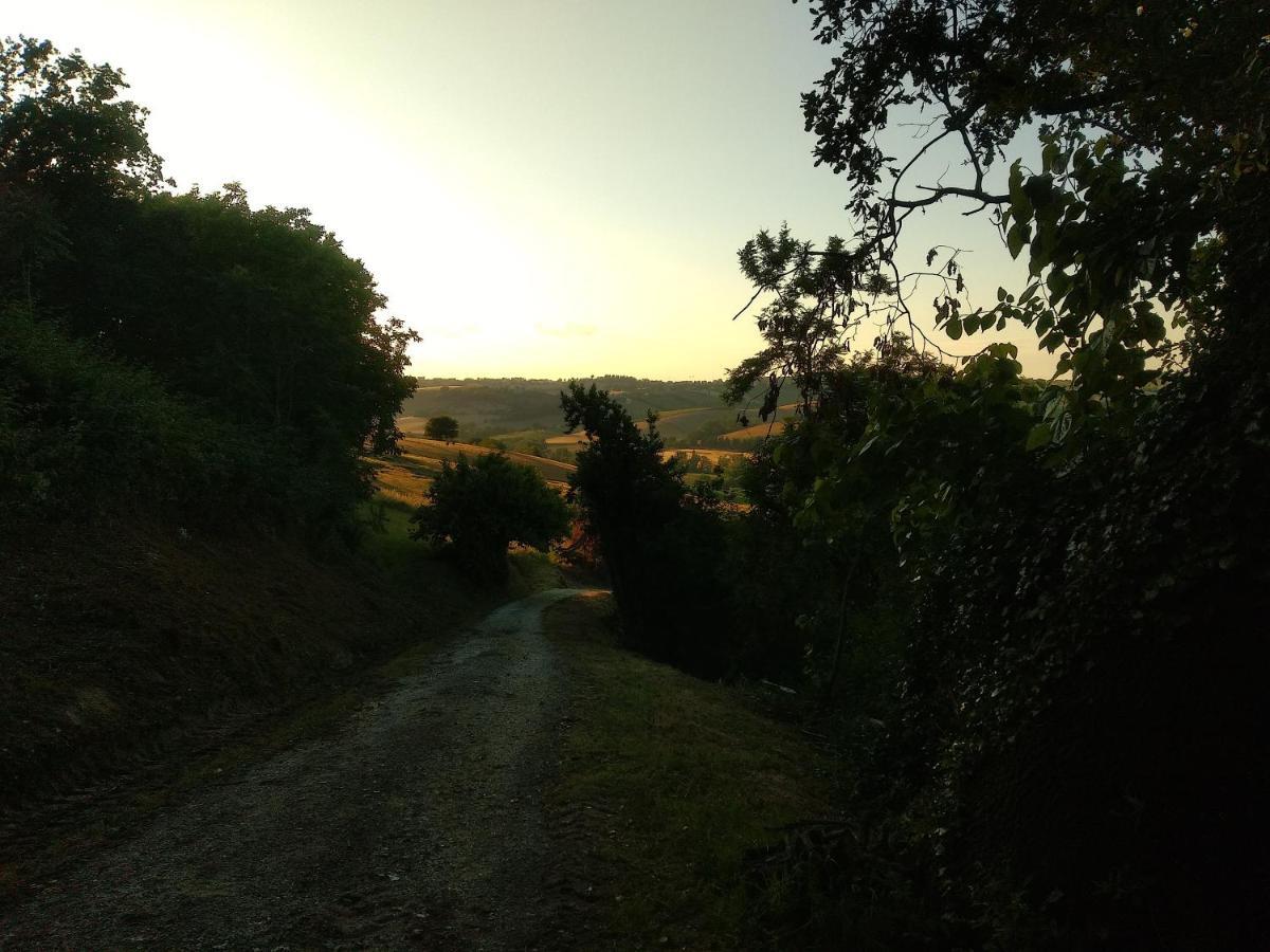 Montecassiano Il Gallo Silvestre - Bed&Books מראה חיצוני תמונה